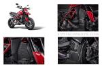 Ducati Hypermotard 950 SP Wasserkühler, Motor und Ölkühlerschutzset ab 2019+